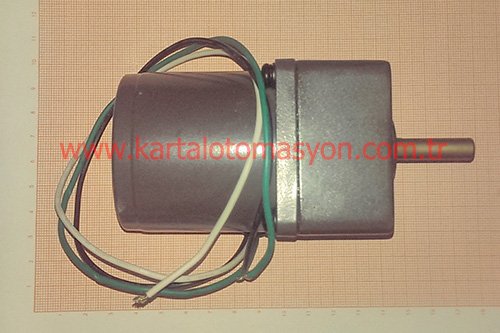 220v-4w-motor